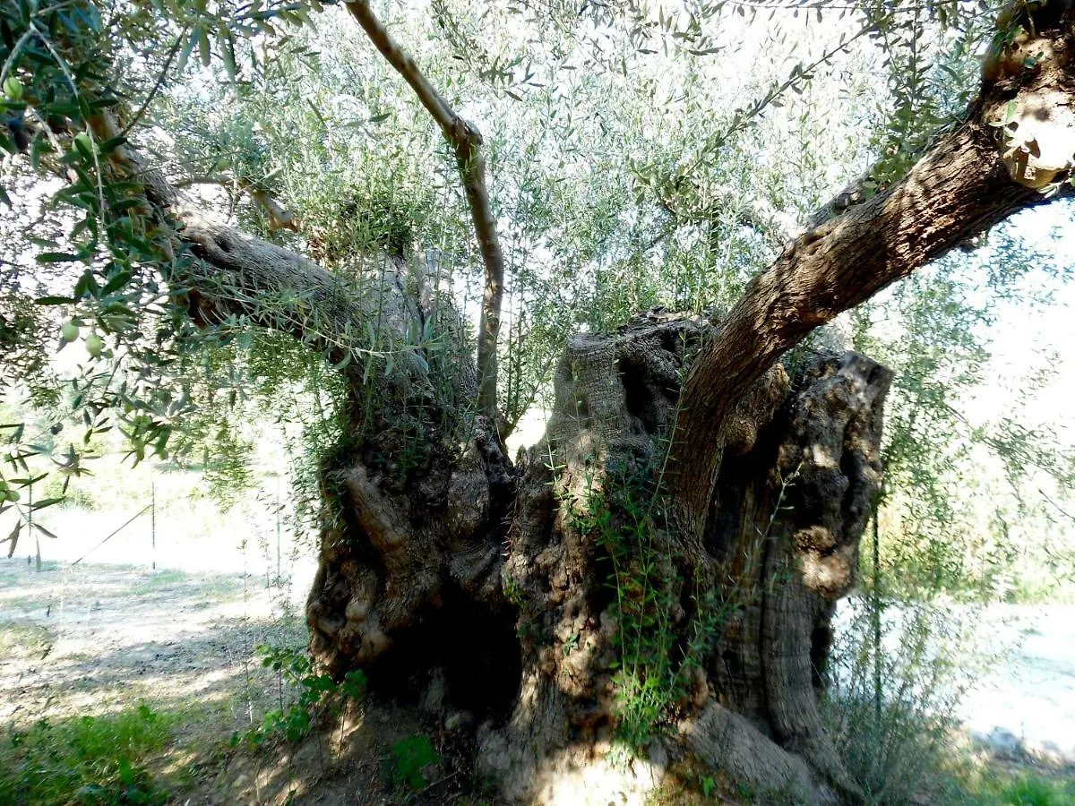 La Casa Bianca Bed & Breakfast Noto İtalya